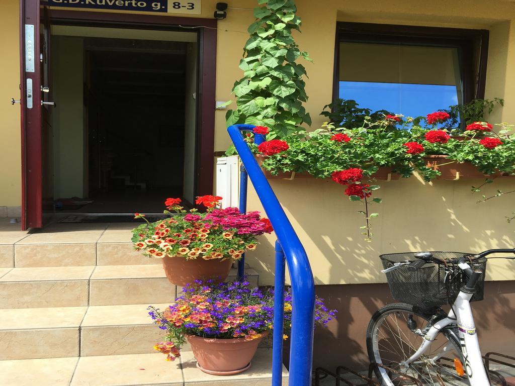 Apartamentai Viktorija นิดา ภายนอก รูปภาพ